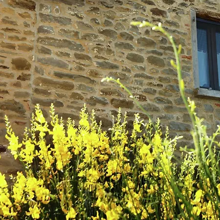 Tasteful Holiday In With Garden Vakantiehuis Modigliana